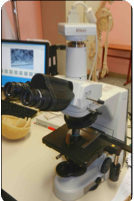 Thin section 5